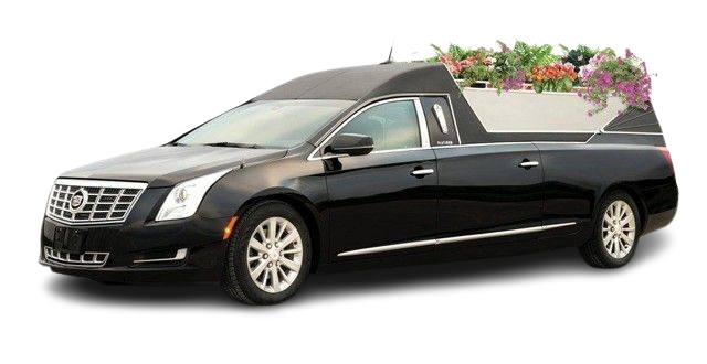 Funeral Limo Service San Jose, Funeral Car Service San Jose, San Jose Funeral Transportation, Funeral Limo Rental San Jose, San Jose Memorial Service Limousine, Funeral Transportation Services, Funeral Procession Vehicles, Memorial Limo Services, Limo Service for Funerals, San Jose Funeral Cars, Funeral Chauffeur Service, Memorial Transportation San Jose, Professional Funeral Limo Service, Luxury Funeral Vehicles, Family Funeral Transportation